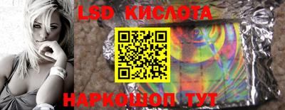 прущие грибы Краснодар