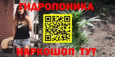 прущие грибы Краснодар