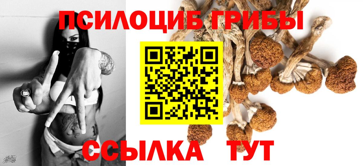 Галлюциногенные грибы мухоморы Кировск