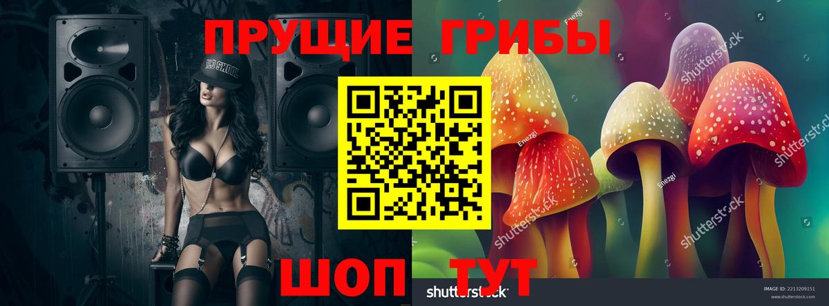 Кировск  Псилоцибиновые грибы мухоморы  Вход с VPN 